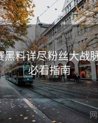 每日大赛黑料详尽粉丝大战脉络揭秘，必看指南