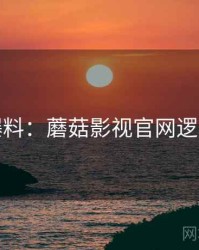热门爆料：蘑菇影视官网逻辑复盘