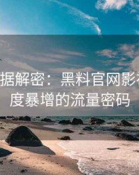 0402. 数据解密：黑料官网影视揭秘热度暴增的流量密码