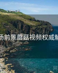 市场前景蘑菇视频权威解读