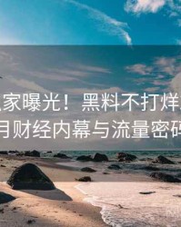 0587. 独家曝光！黑料不打烊2025年1月财经内幕与流量密码