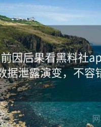 0586. 从前因后果看黑料社app下载官网数据泄露演变，不容错过