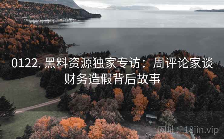 0122. 黑料资源独家专访：周评论家谈财务造假背后故事