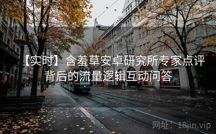 【实时】含羞草安卓研究所专家点评背后的流量逻辑互动问答
